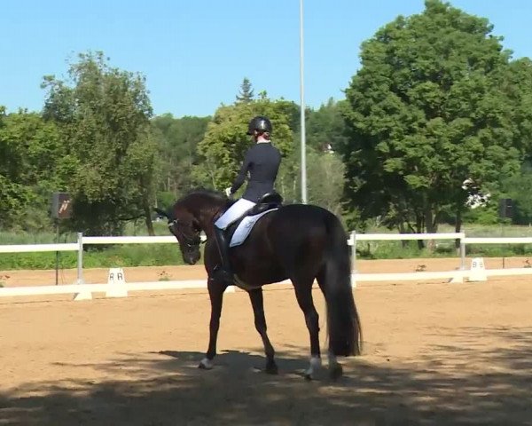 Reitturnier Babenhausen/Schw. 2020