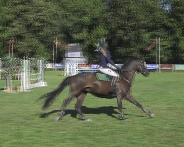Reitturnier Kappelen-Lyss 2020