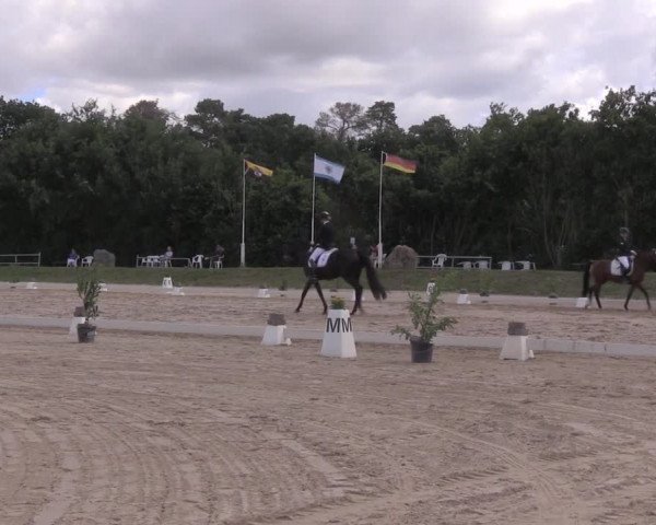 Reitturnier Pietzpuhl 2020