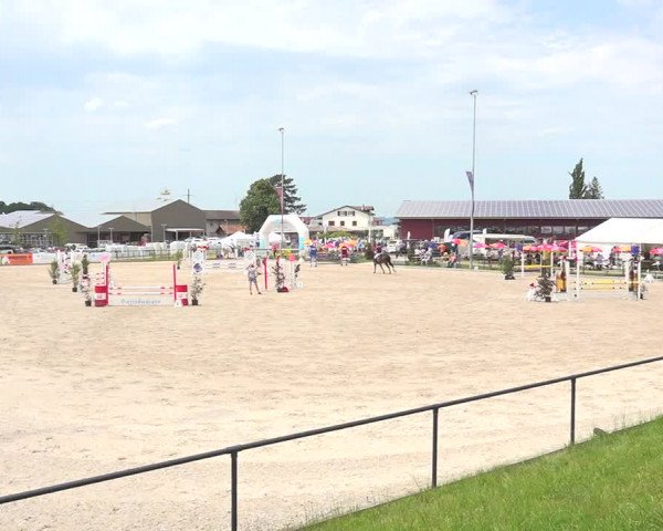 Reitturnier Gossau 2020