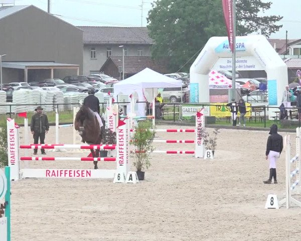 Reitturnier Gossau 2020