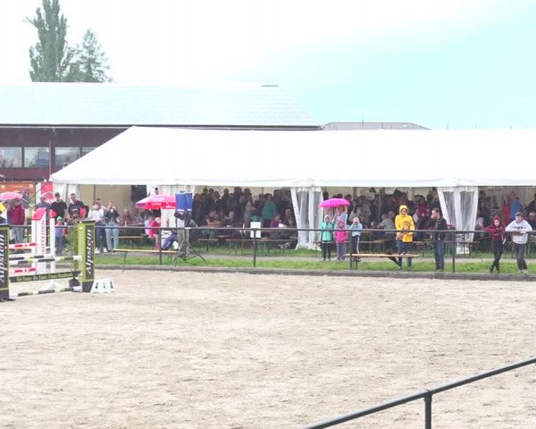 Reitturnier Gossau 2020