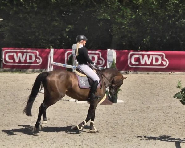 Reitturnier Worms-Pfeddersheim / Reitsportanlage Wittemer 2020