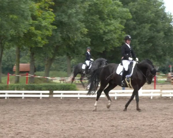 Reitturnier Hamm-Rhynern 2020