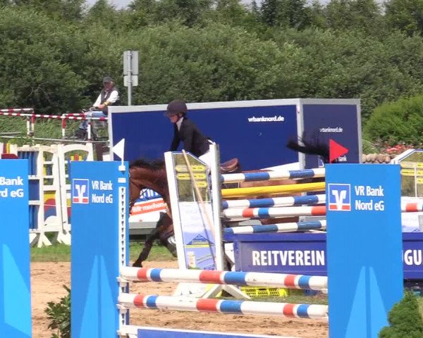 Reitturnier Süderlügum 2020