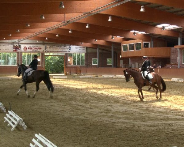 Reitturnier Seppenrade 2020