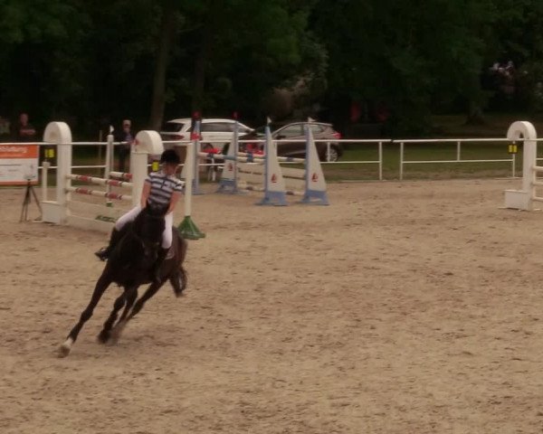 Reitturnier Prussendorf 2020