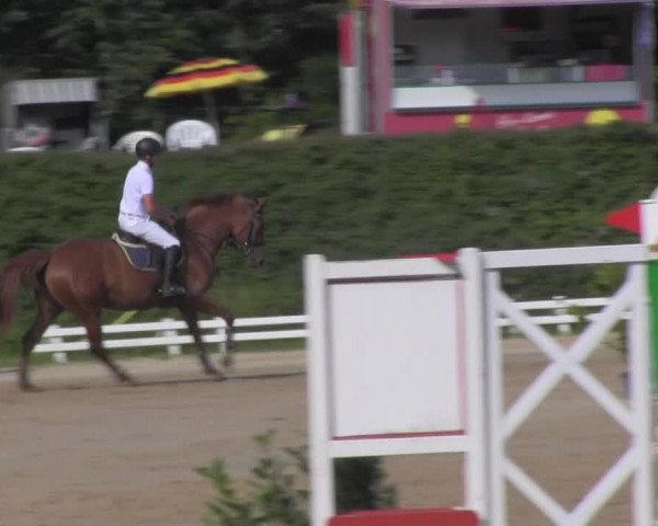 Reitturnier Pietzpuhl 2020