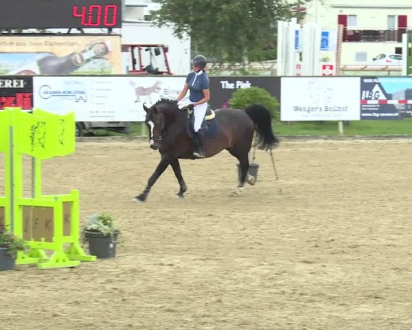 Reitturnier Dagmersellen 2020