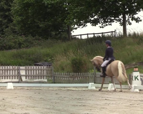 Reitturnier Schülp / Rendsburg 2020