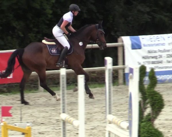 Reitturnier Vlotho-Exter 2020