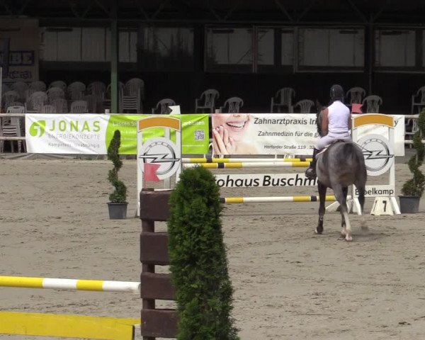 Reitturnier Vlotho-Exter 2020