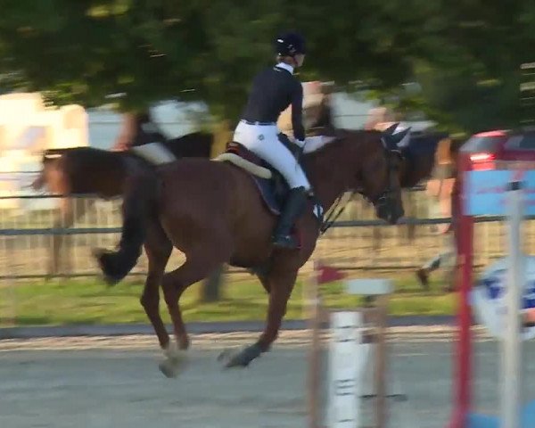 Reitturnier Rot am See- Musdorf 2020