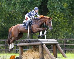Springpferd Lady You TSF (Trakehner, 2004, von Houston)