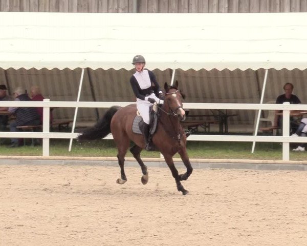 Reitturnier Ladelund 2020