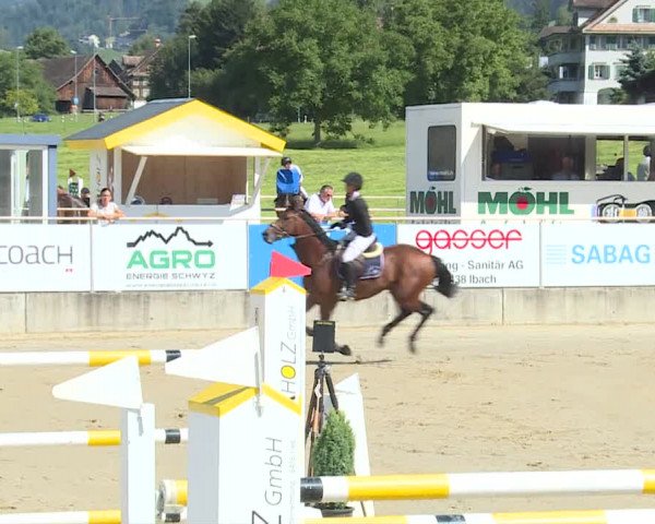Reitturnier Schwyz 2020