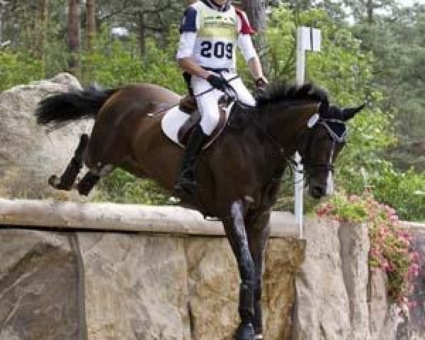 jumper Cappuccino (Trakehner, 2002, from I-Punkt)