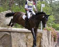 jumper Cappuccino TSF (Trakehner, 2002, from I-Punkt)