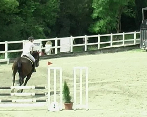 Reitturnier Aesch (Neftenbach) 2020