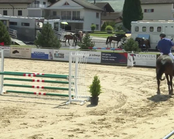 Reitturnier Schwyz 2020
