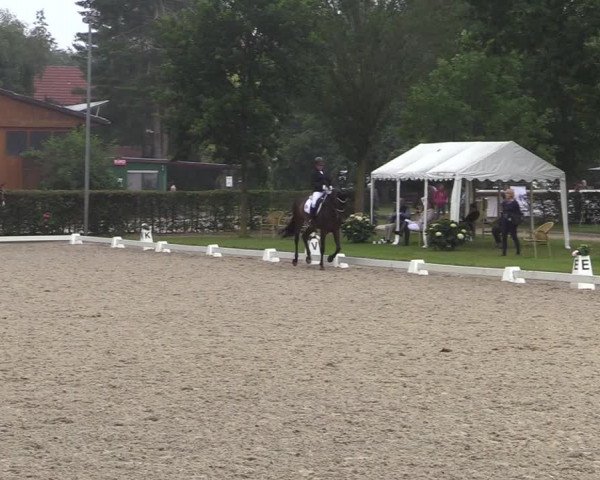 Reitturnier Greven 2020