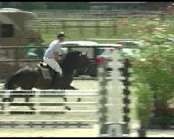 Reitturnier Bättwil 2020