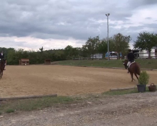 Reitturnier Brünst/Mfr. 2020