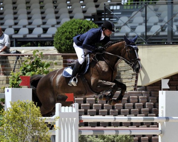 broodmare Quorida de Treho (Selle Français, 2004, from Kannan)