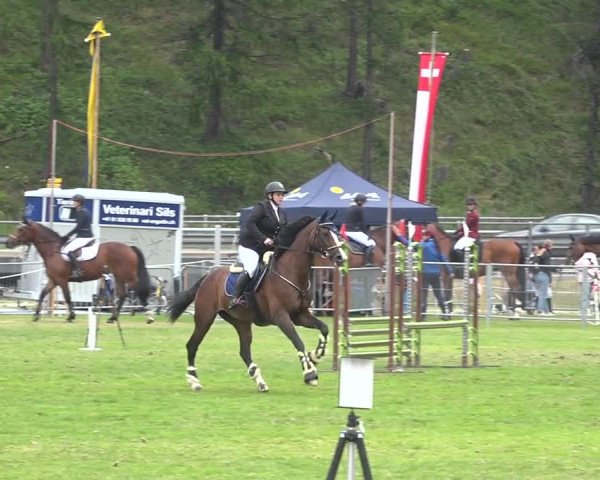 Reitturnier St. Moritz 2020