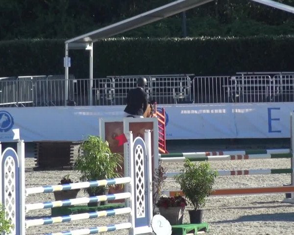 FEI Reitturnier Eschweiler (GER) 2020
