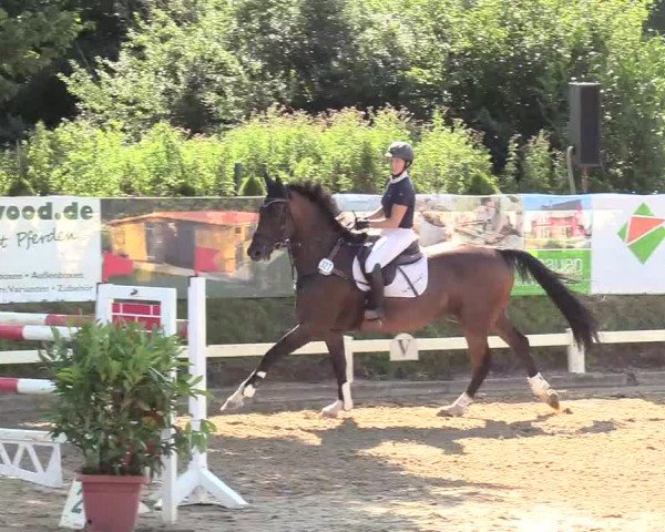 Reitturnier Behrendorf 2020