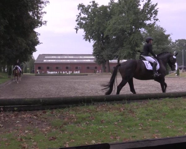 Reitturnier Datteln 2020