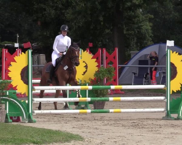 Reitturnier Datteln 2020