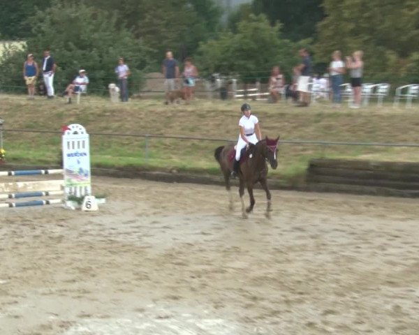 Reitturnier Kirchhoven-Vinn 2020