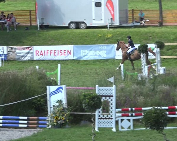 Reitturnier Aadorf 2020