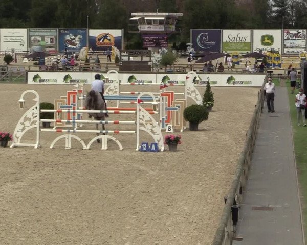 FEI Reitturnier Lier (BEL) 2020