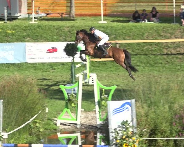 Reitturnier Aadorf 2020
