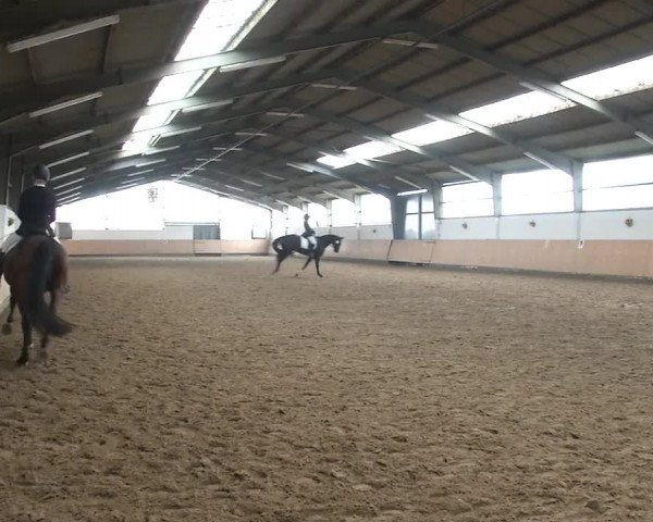Reitturnier Datteln 2020