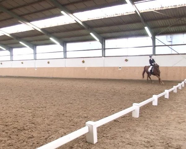Reitturnier Datteln 2020