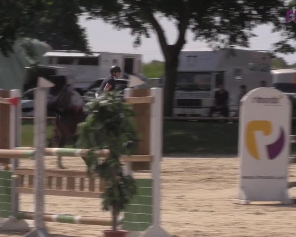 Reitturnier Marl, Reitanlage Rohmann 2020