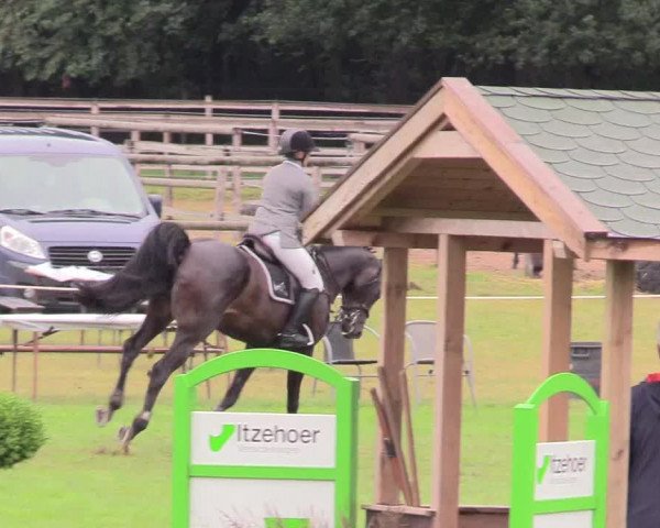 Reitturnier Hanerau-Hademarschen 2020