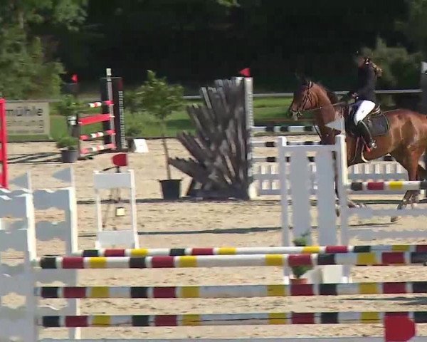 Reitturnier Ansbach/Mfr. 2020