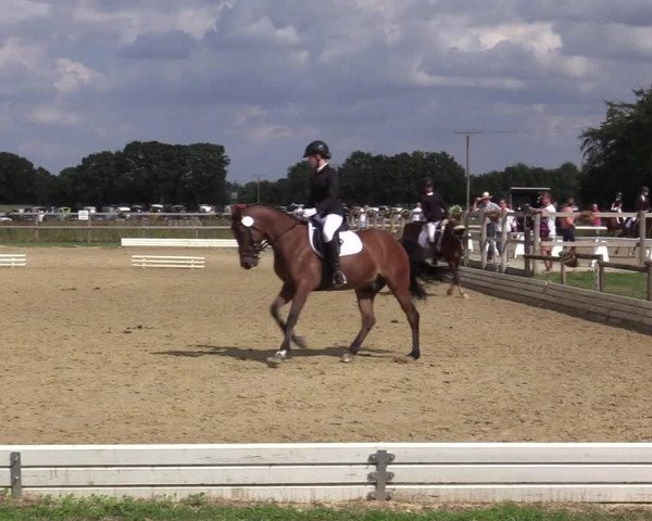 Reitturnier Ostbevern 2020