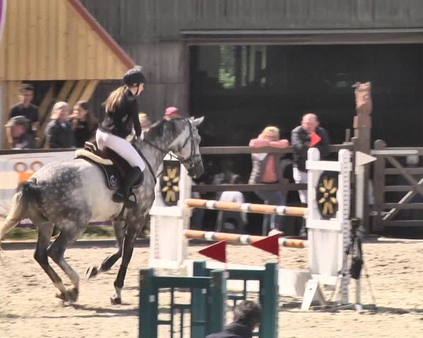 Reitturnier Bübinger Hof 2020