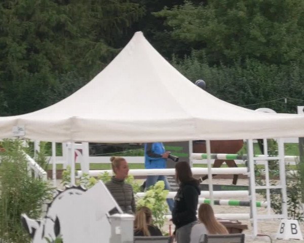 Reitturnier Öpfingen 2020