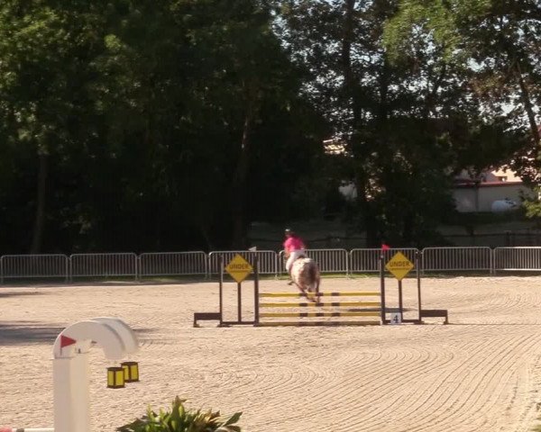 Reitturnier Prussendorf 2020