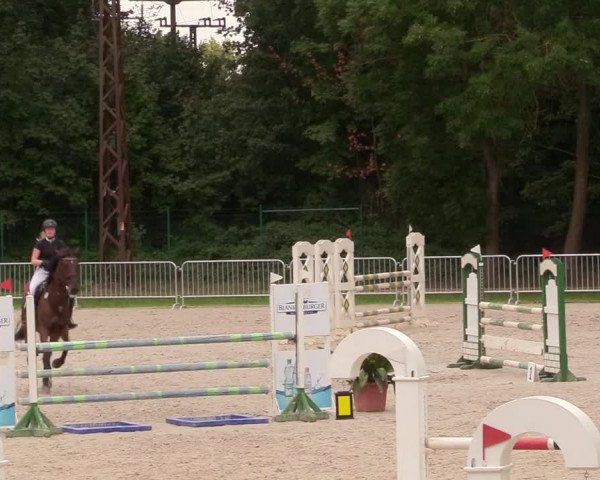 Reitturnier Prussendorf 2020