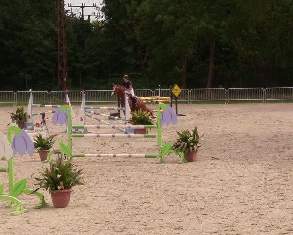 Reitturnier Prussendorf 2020
