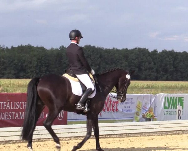 Reitturnier Ostbevern 2020
