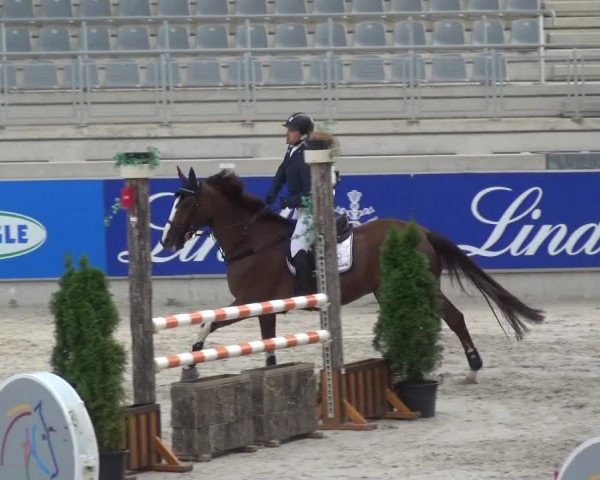 Reitturnier Aachen 2020